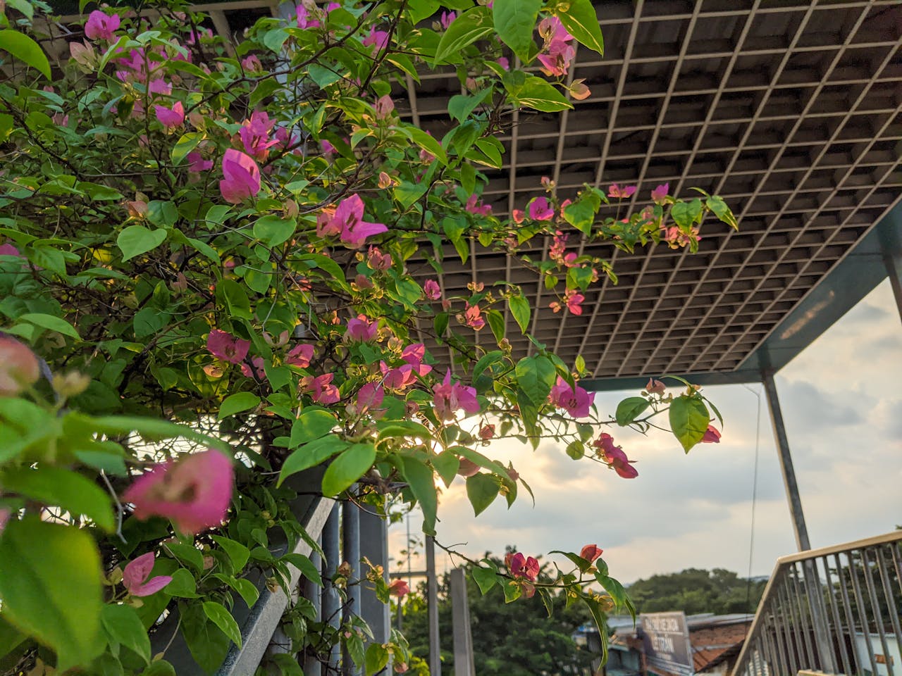 Thám tử lừng danh Conan | Chương 0439