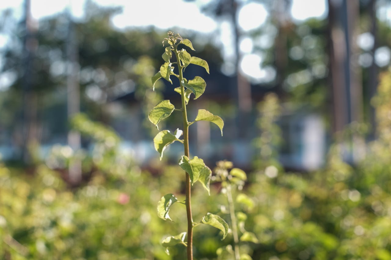 Giận | Chương 12