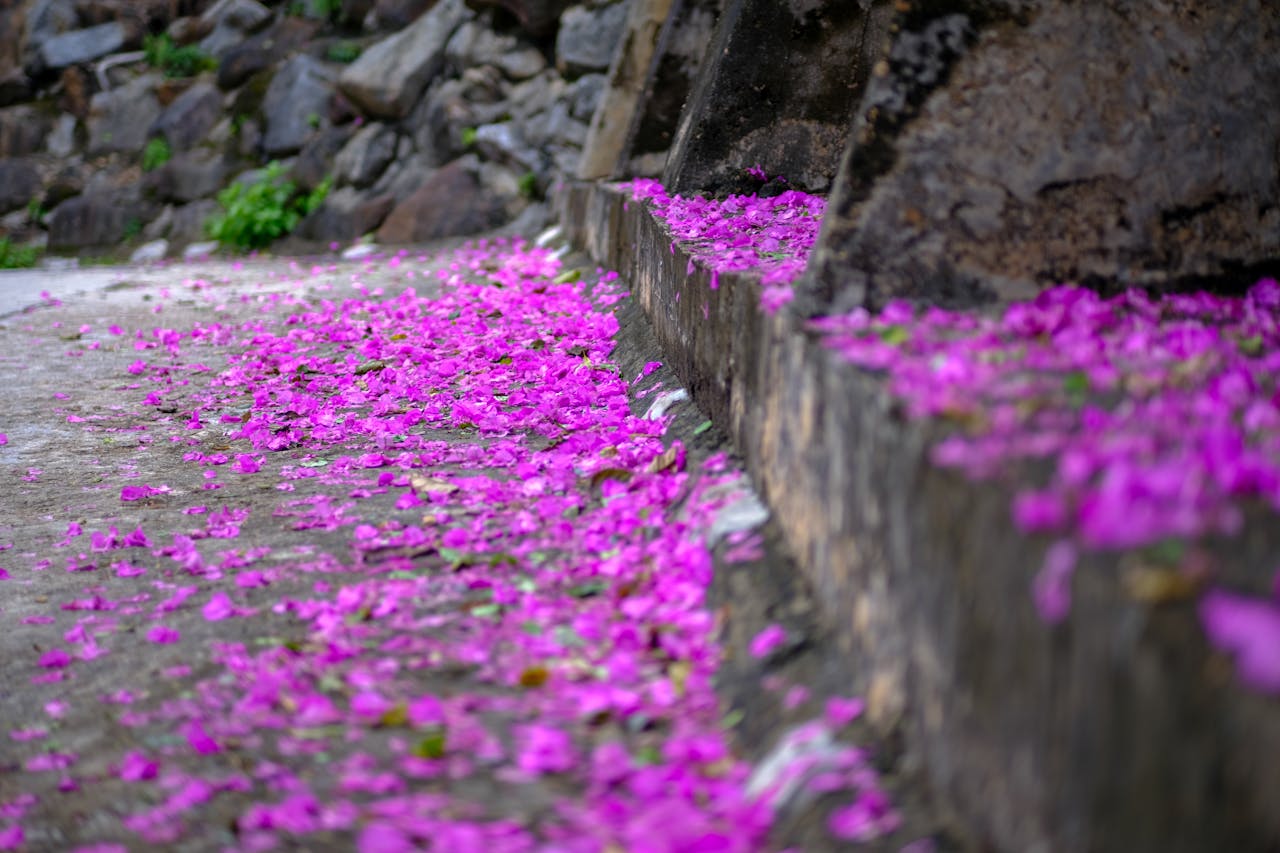 Người sáng tạo Times Square và quảng cáo