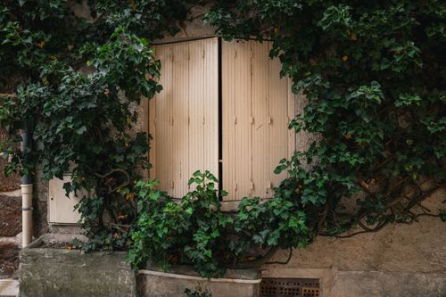 Free Discover a rustic window surrounded by lush ivy in Sancerre, exuding historic European charm. Stock Photo