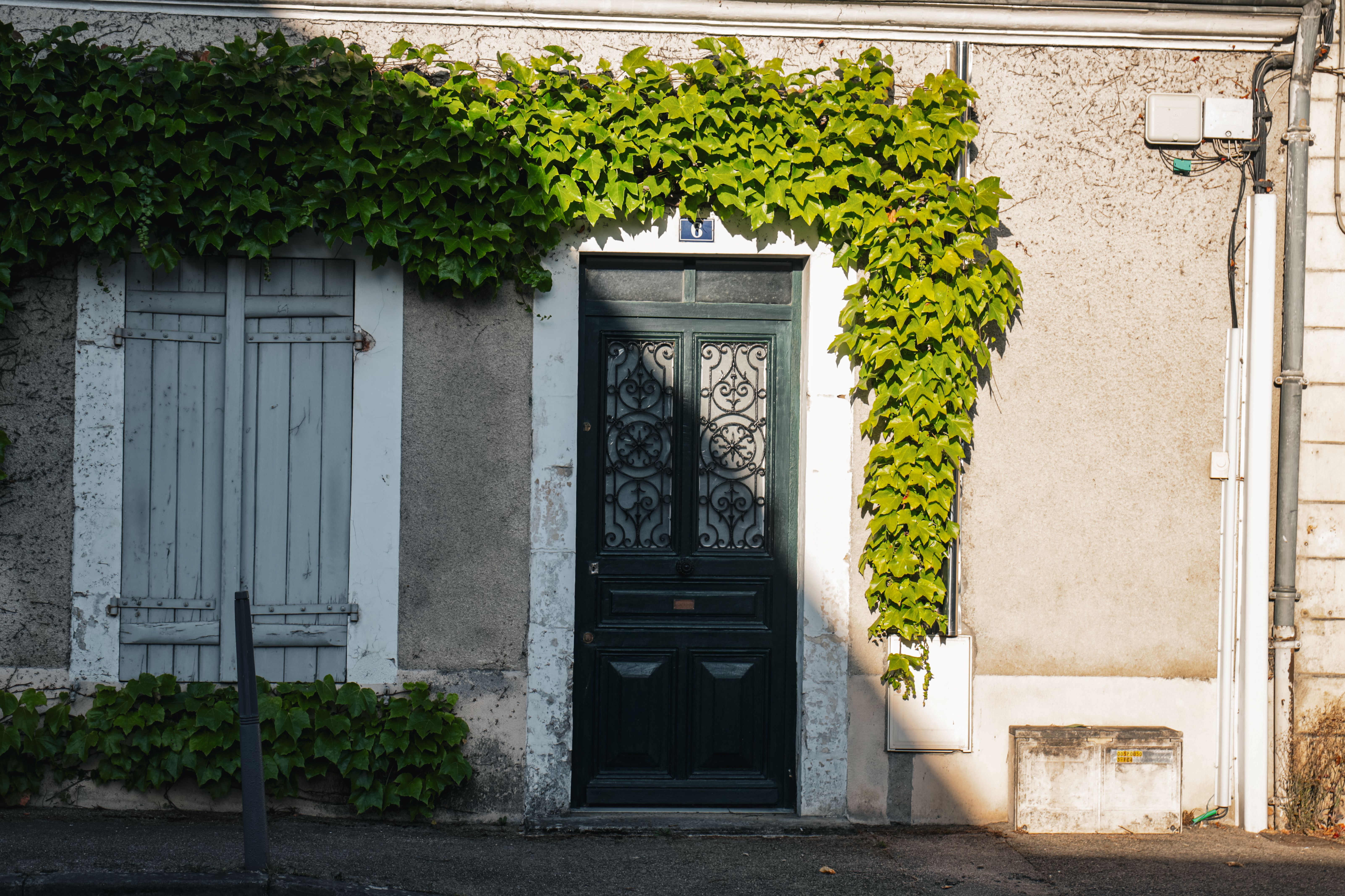 La façade ensoleillée recouverte de lierre avec une porte et des volets sombres évoque le charme français traditionnel dans une rue calme.