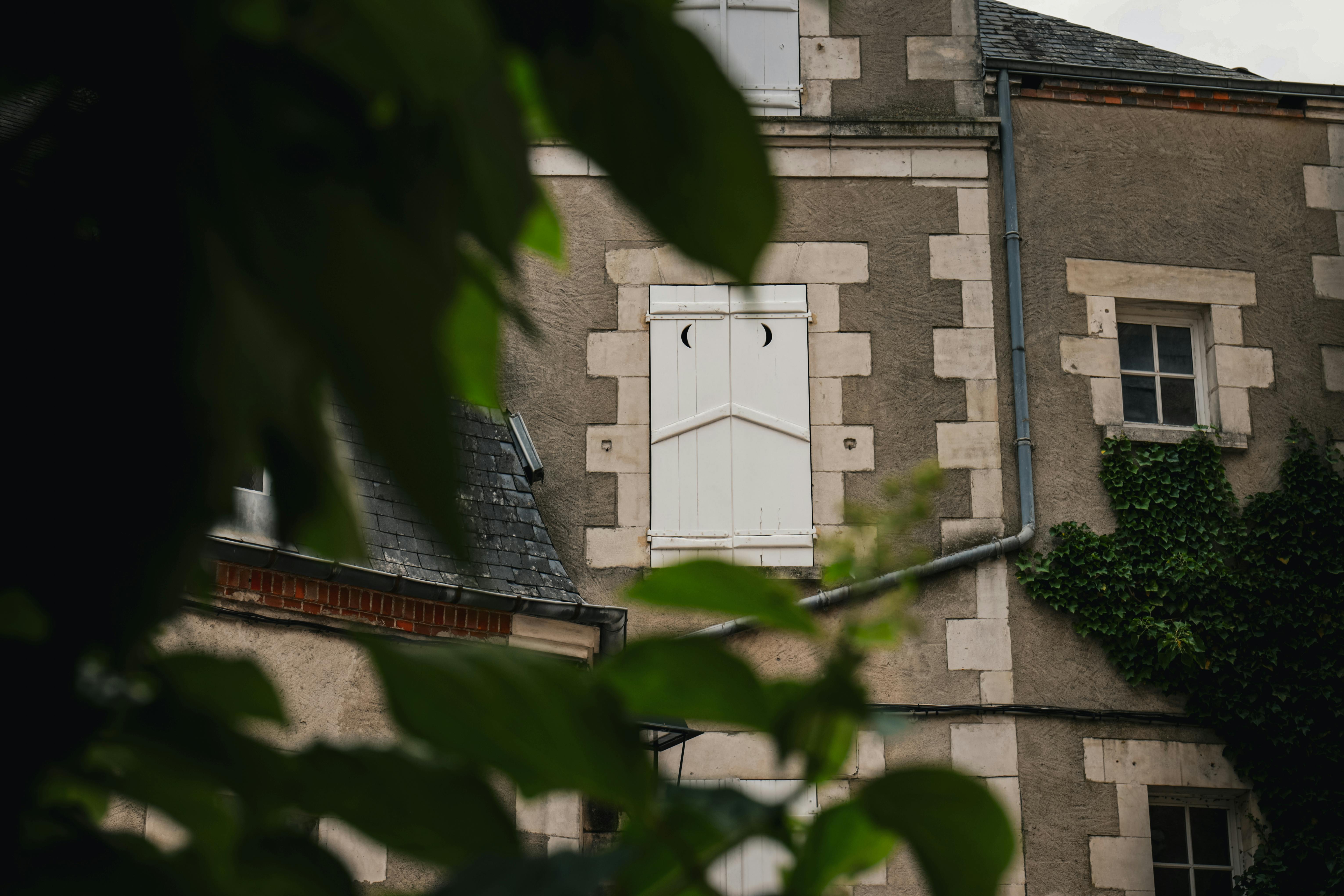 Constantia rénovation : étude de cas chiffrée et ROI