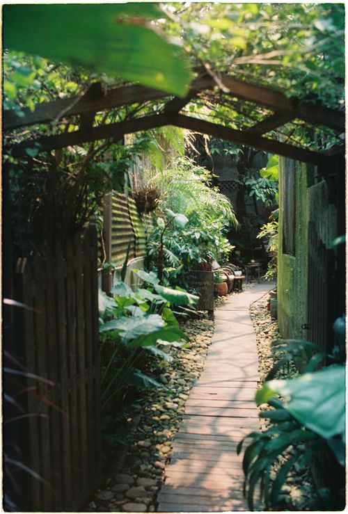 Free A tranquil garden path surrounded by verdant plants, creating a peaceful escape. Stock Photo