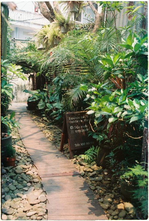 Free A serene garden pathway lined with lush plants and a wooden walkway under dappled sunlight. Stock Photo