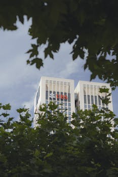 A UBS skyscraper framed by green leaves against a clear sky.