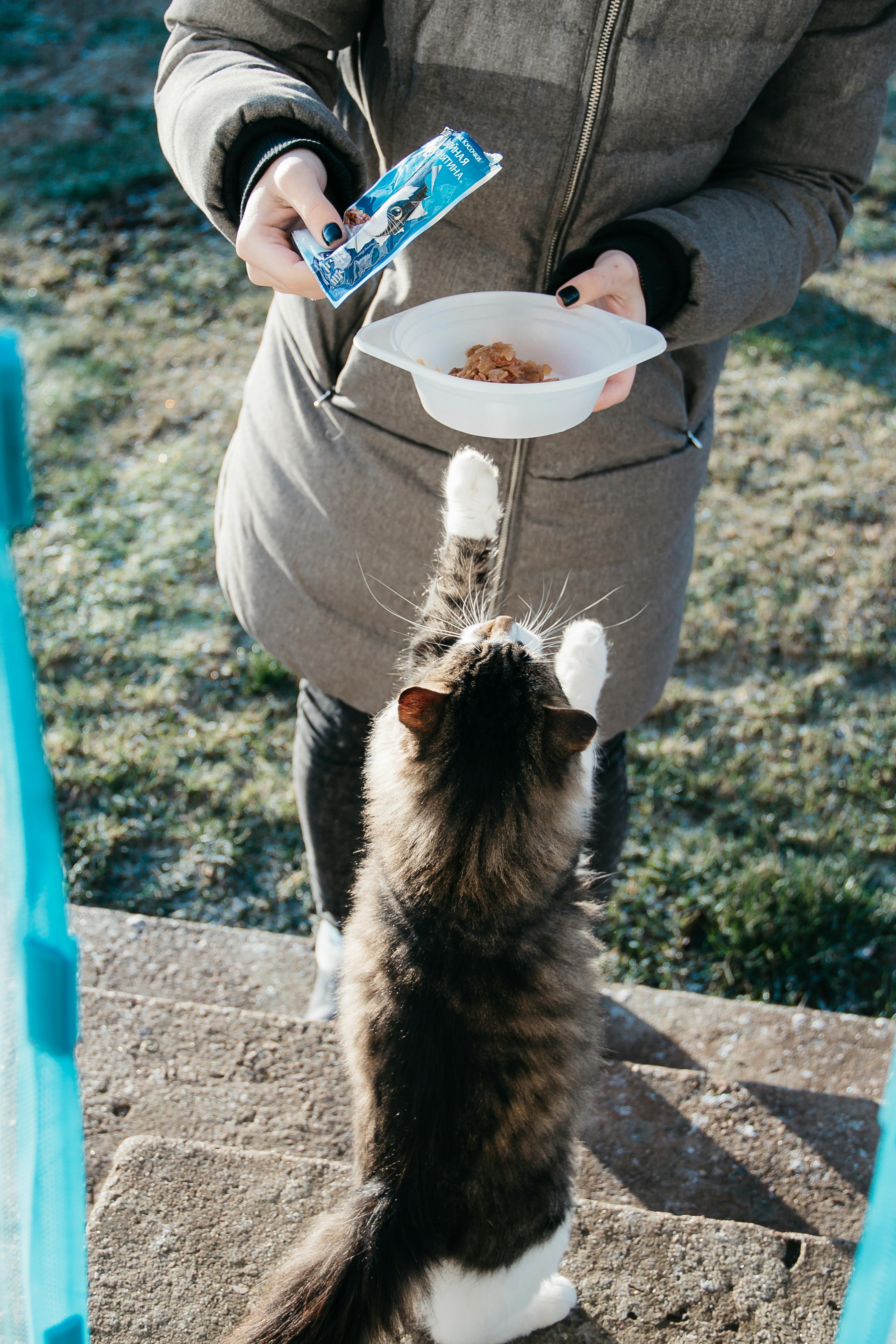 A woman feeding her cat. | Photo: Pexels