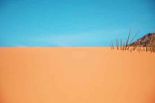 Free stock photo of abstract background, desert, hot