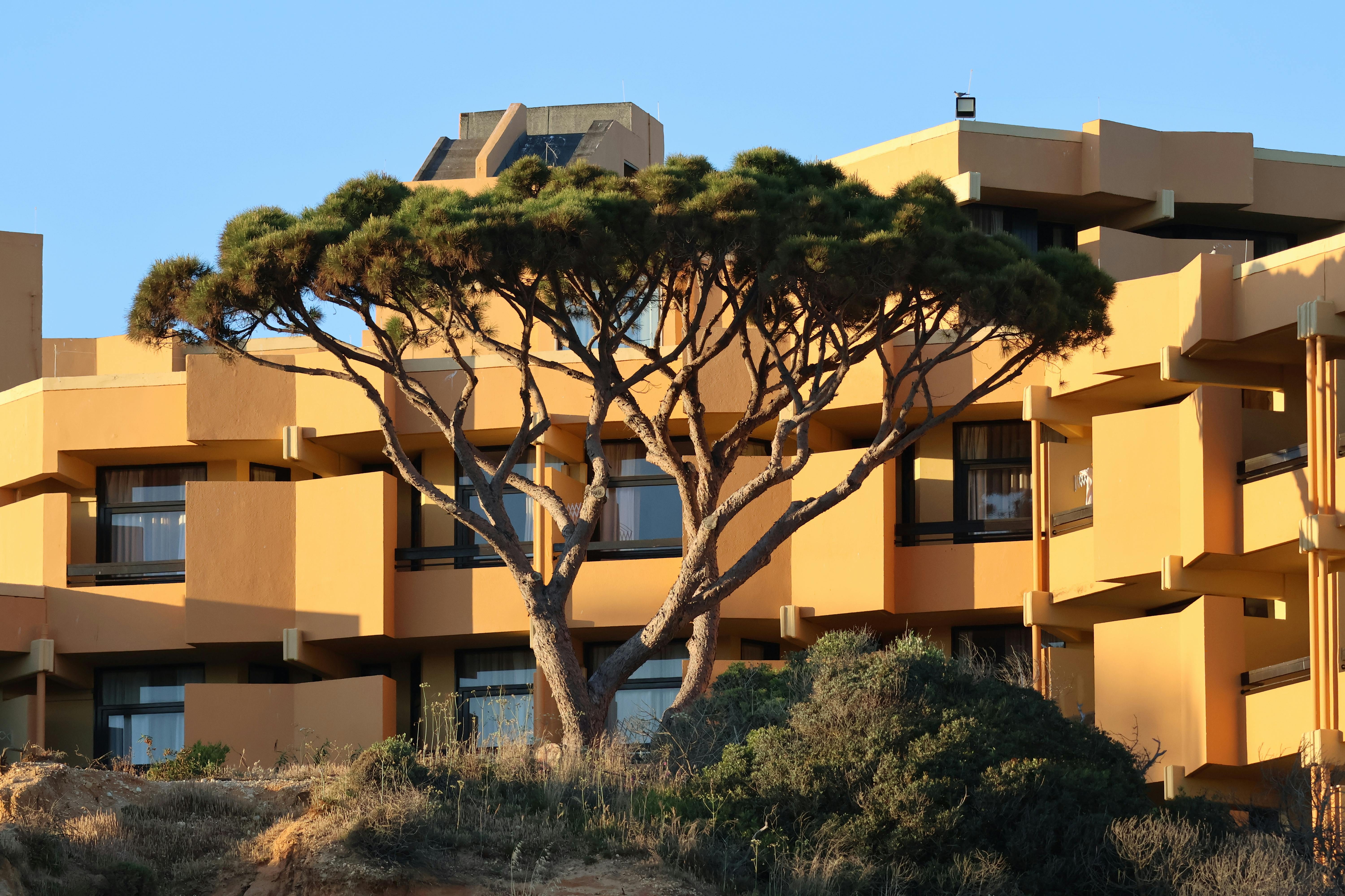 Healthy Living and Eating Tips for a Better Life