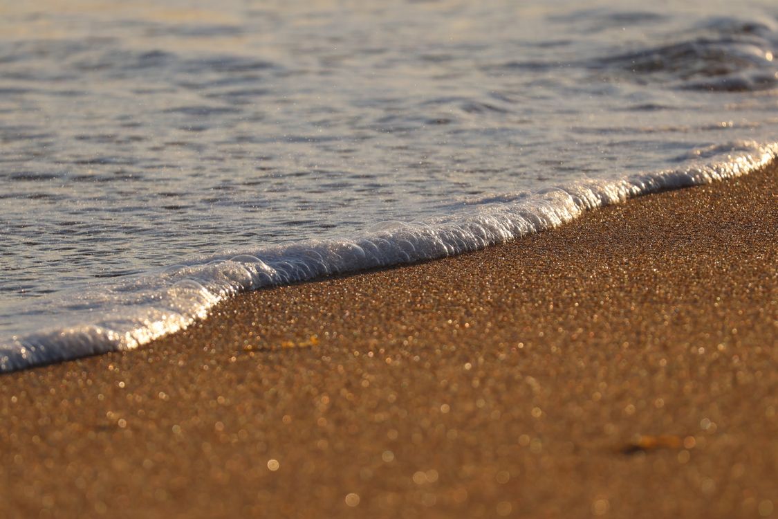 Golden Sand Beach with Gentle Ocean Waves · Free Stock Photo