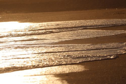 Free Warm golden waves gently lap against the sandy shore at sunset, creating a serene and peaceful ambiance. Stock Photo