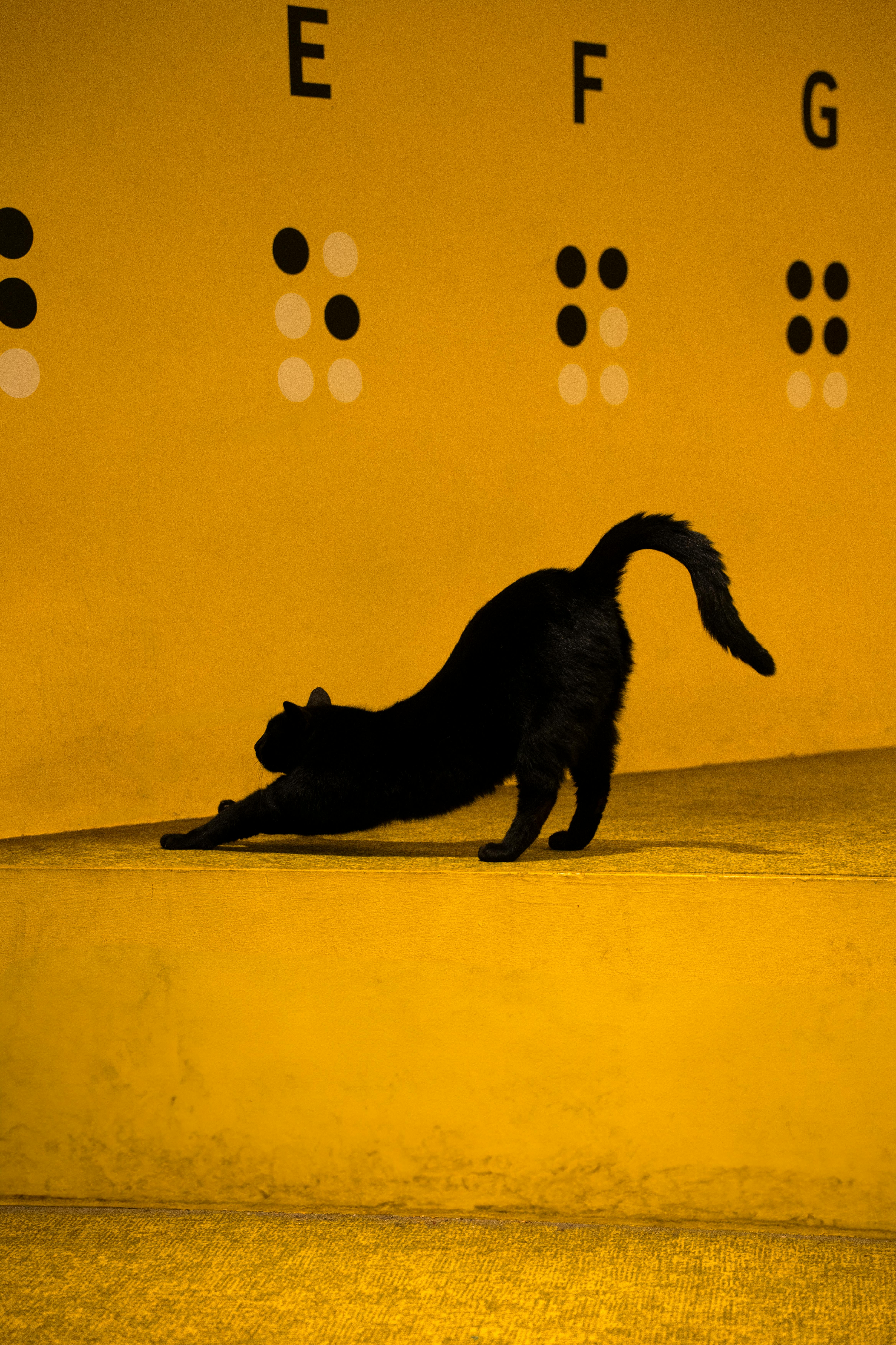 Описание породы