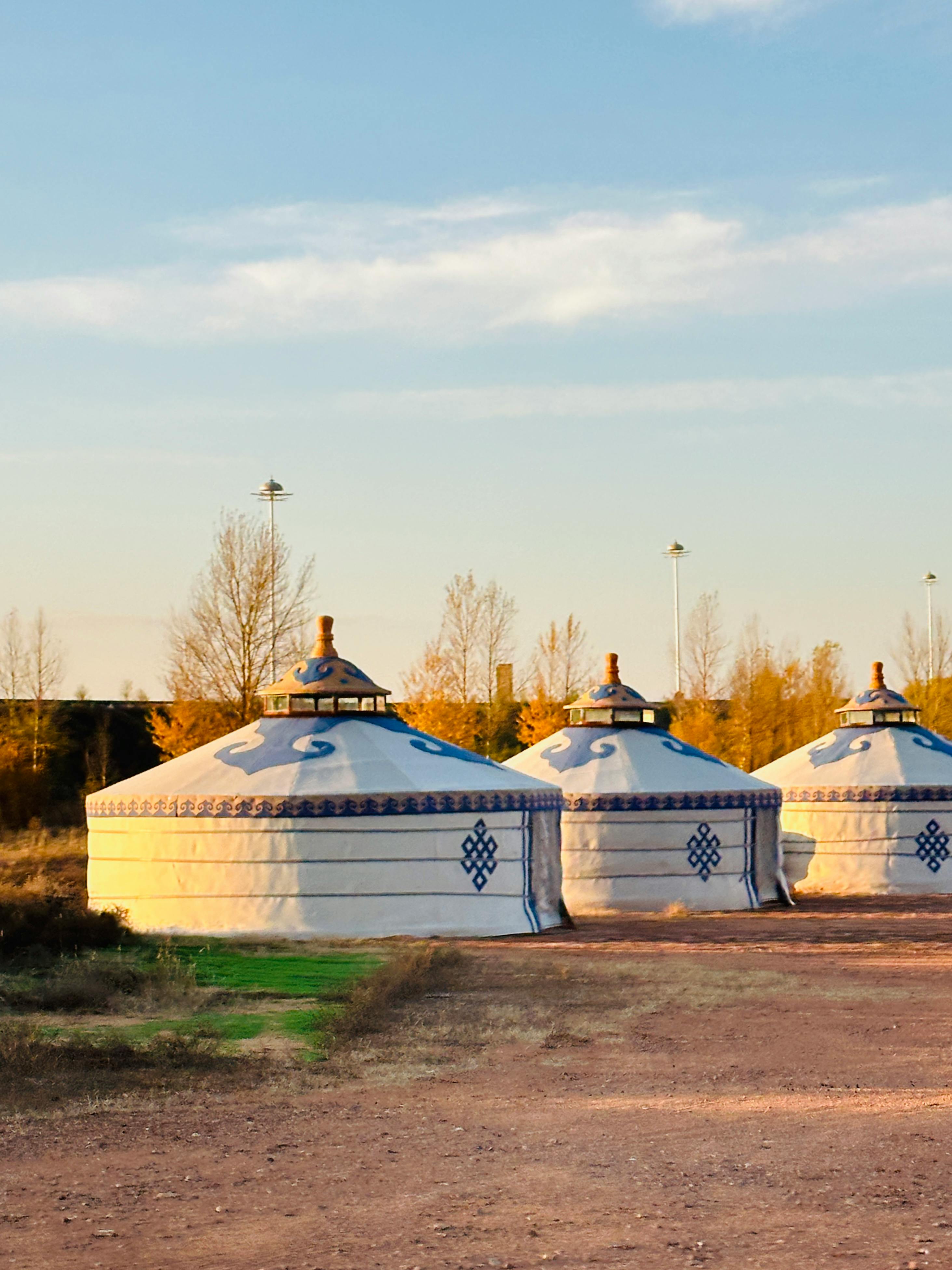 Three traditional Mongolian yurts in an outdoor setting under a bright sky.