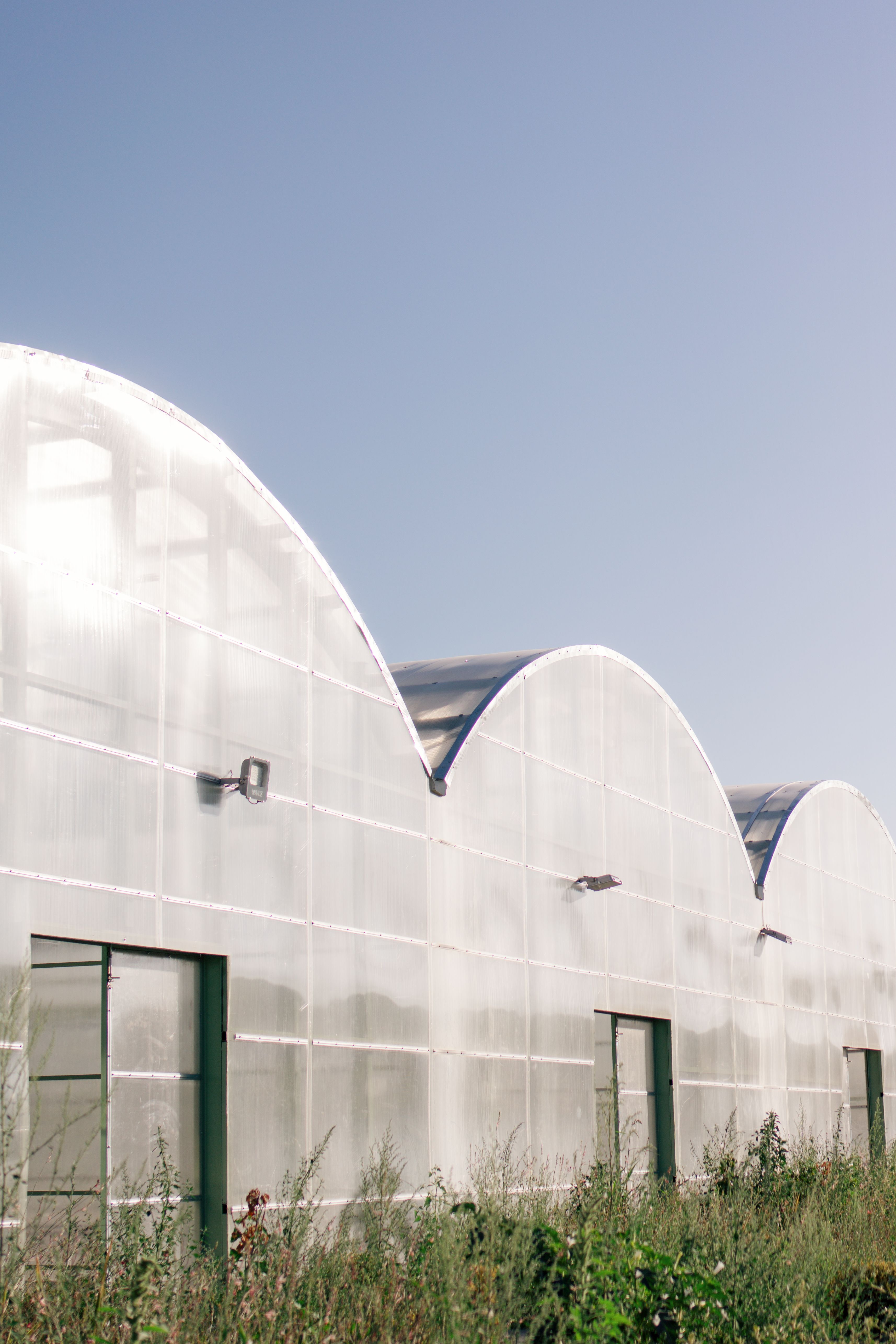 Greenhouse