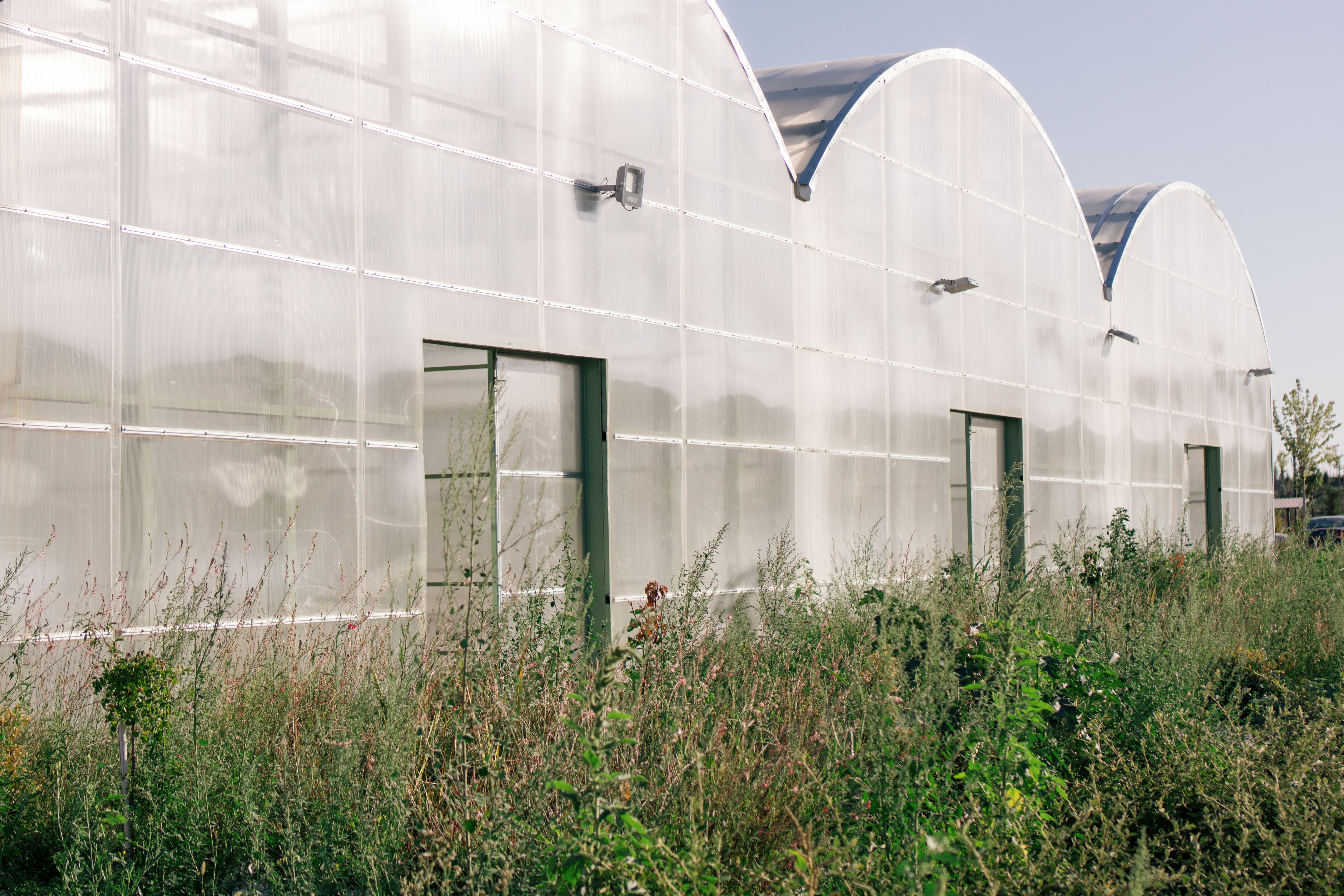 Choosing Between Polycarbonate Solid Sheet and Glass for Your Project