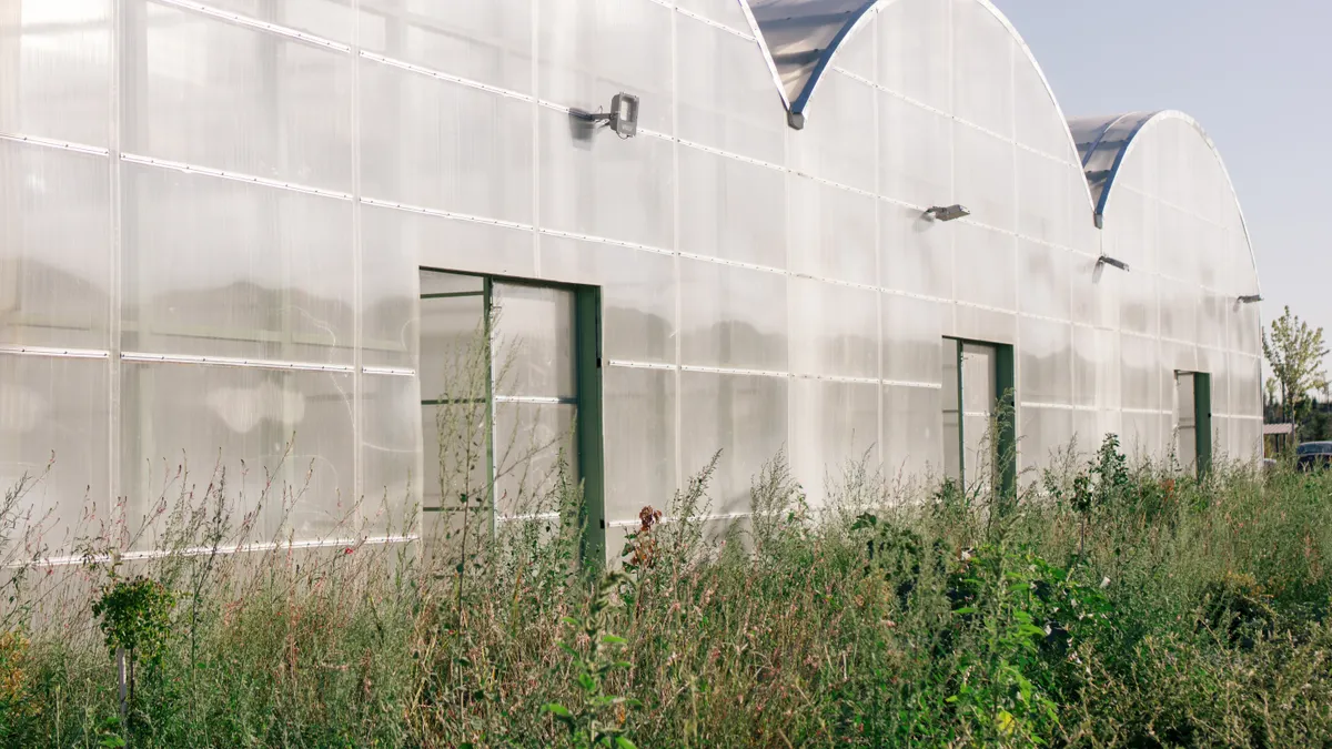 Choosing Between Polycarbonate Solid Sheet and Glass for Your Project
