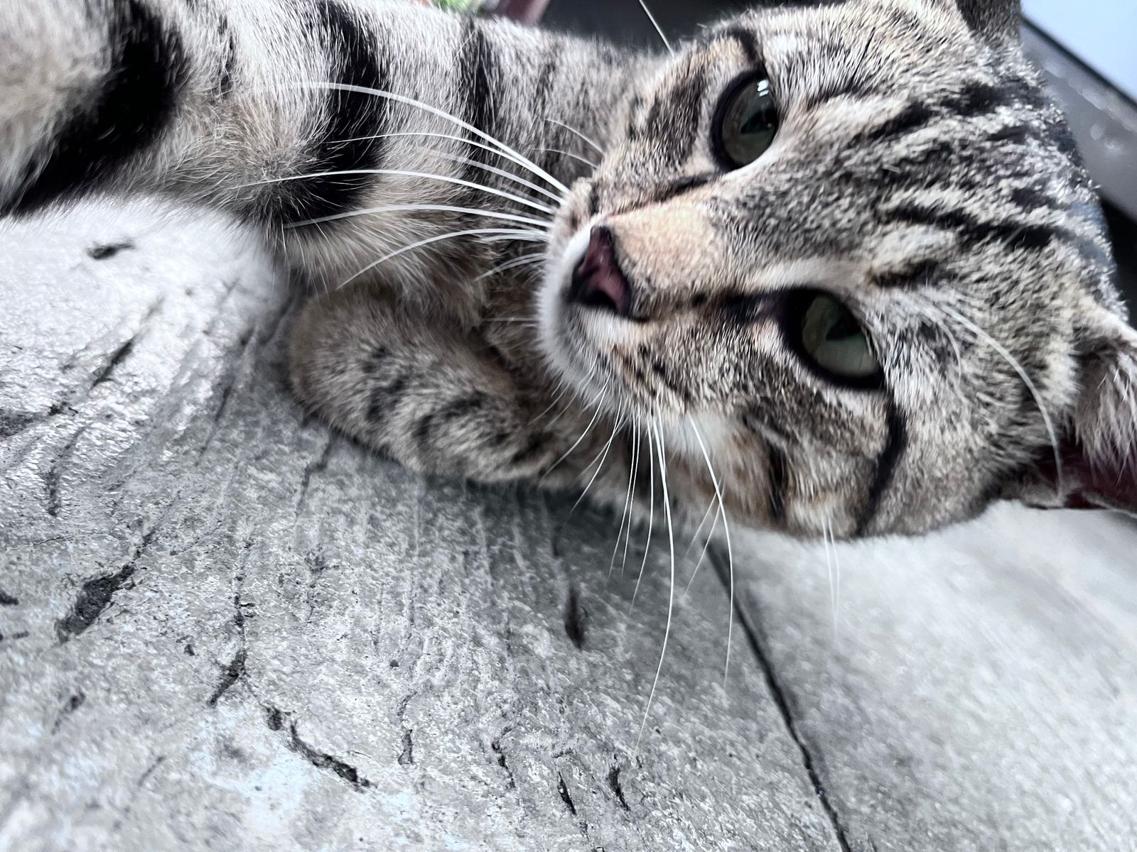 selfie