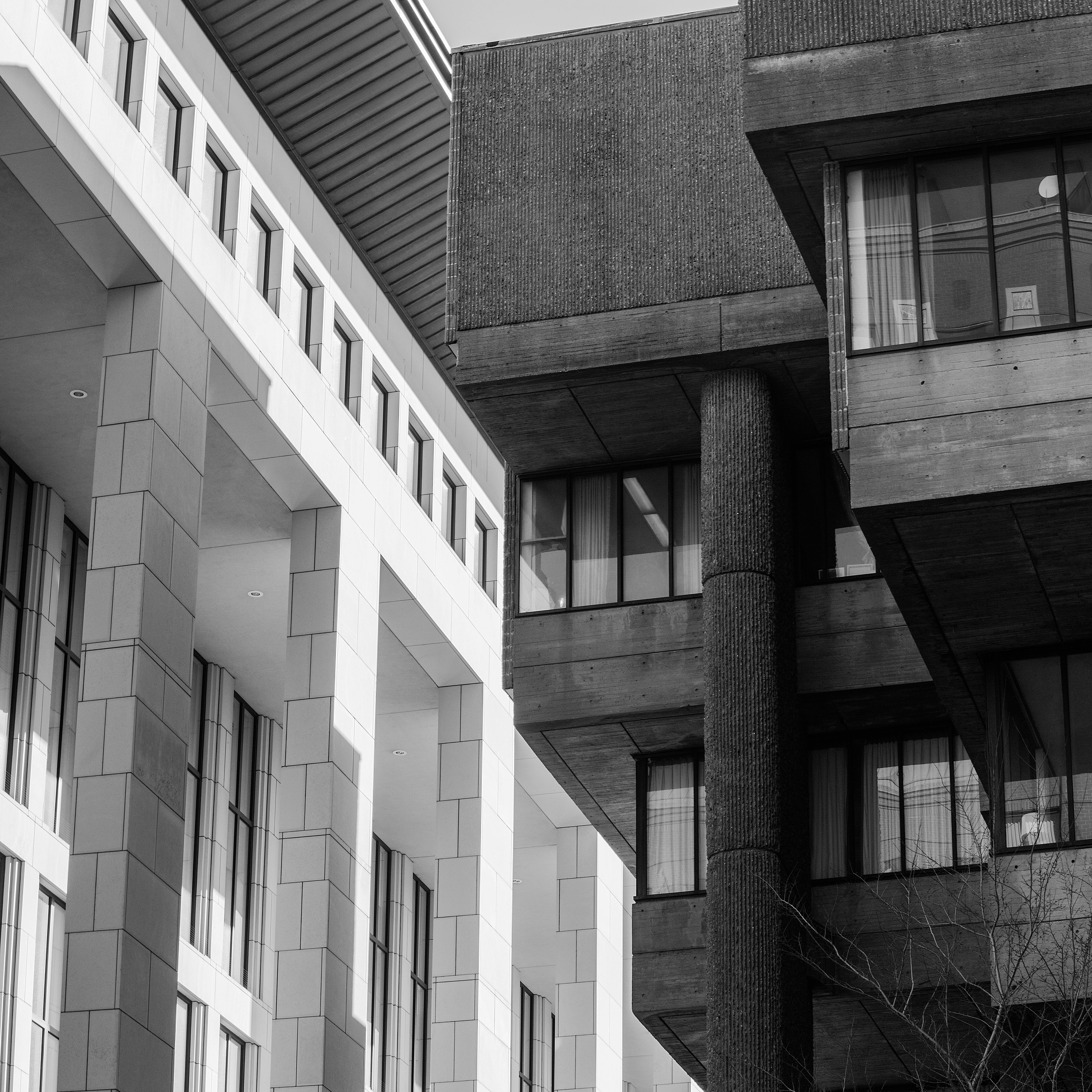 Monochrome view of contrasting modern architectural styles in Boston, MA.