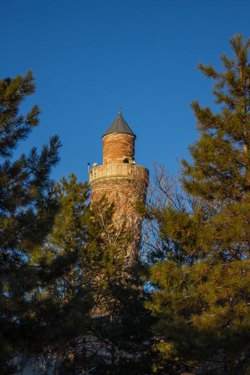 Free Ancient Harput Tower in Elazığ, Türkiye framed by pine trees under a clear blue sky. Stock Photo
