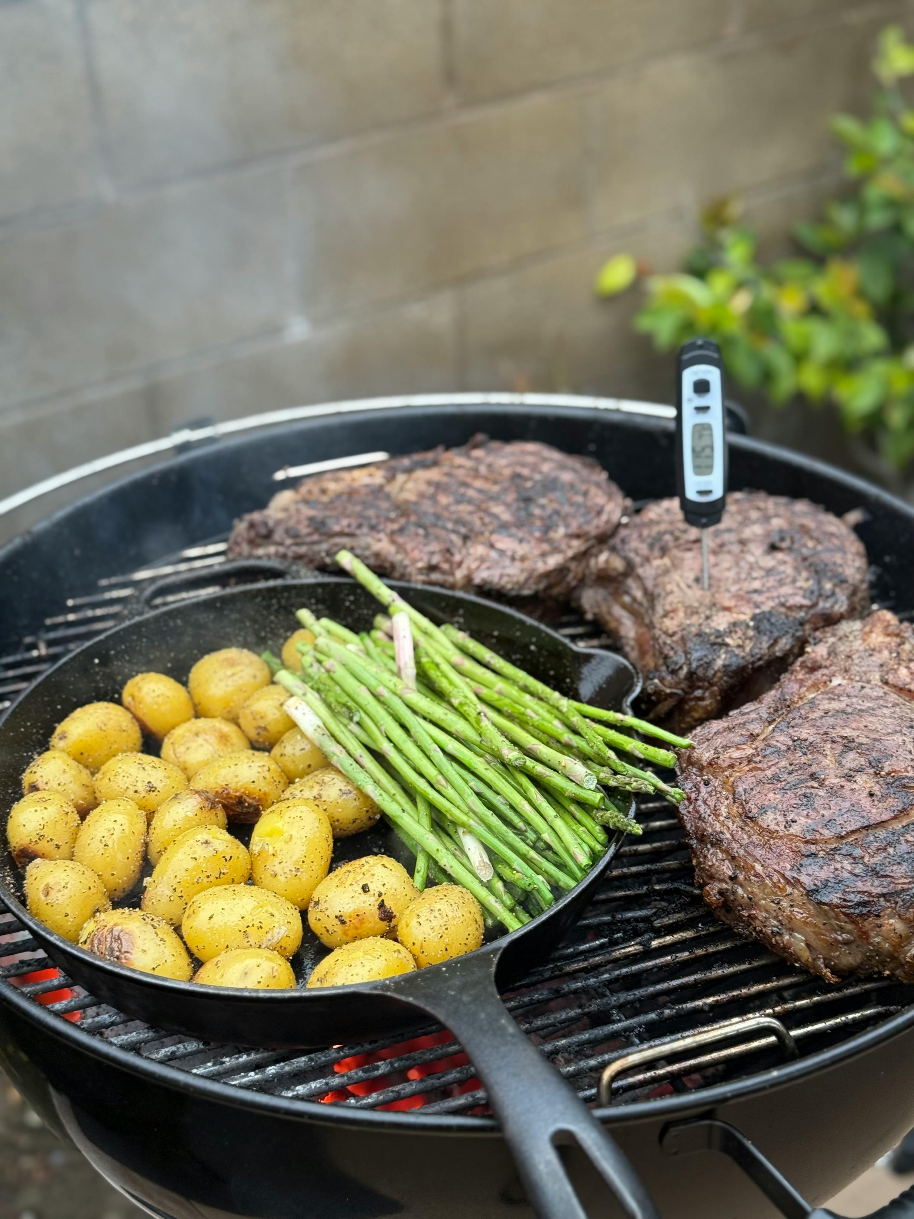 Top 10 BBQ thermometer bluetooth 2026: Review & Comparison