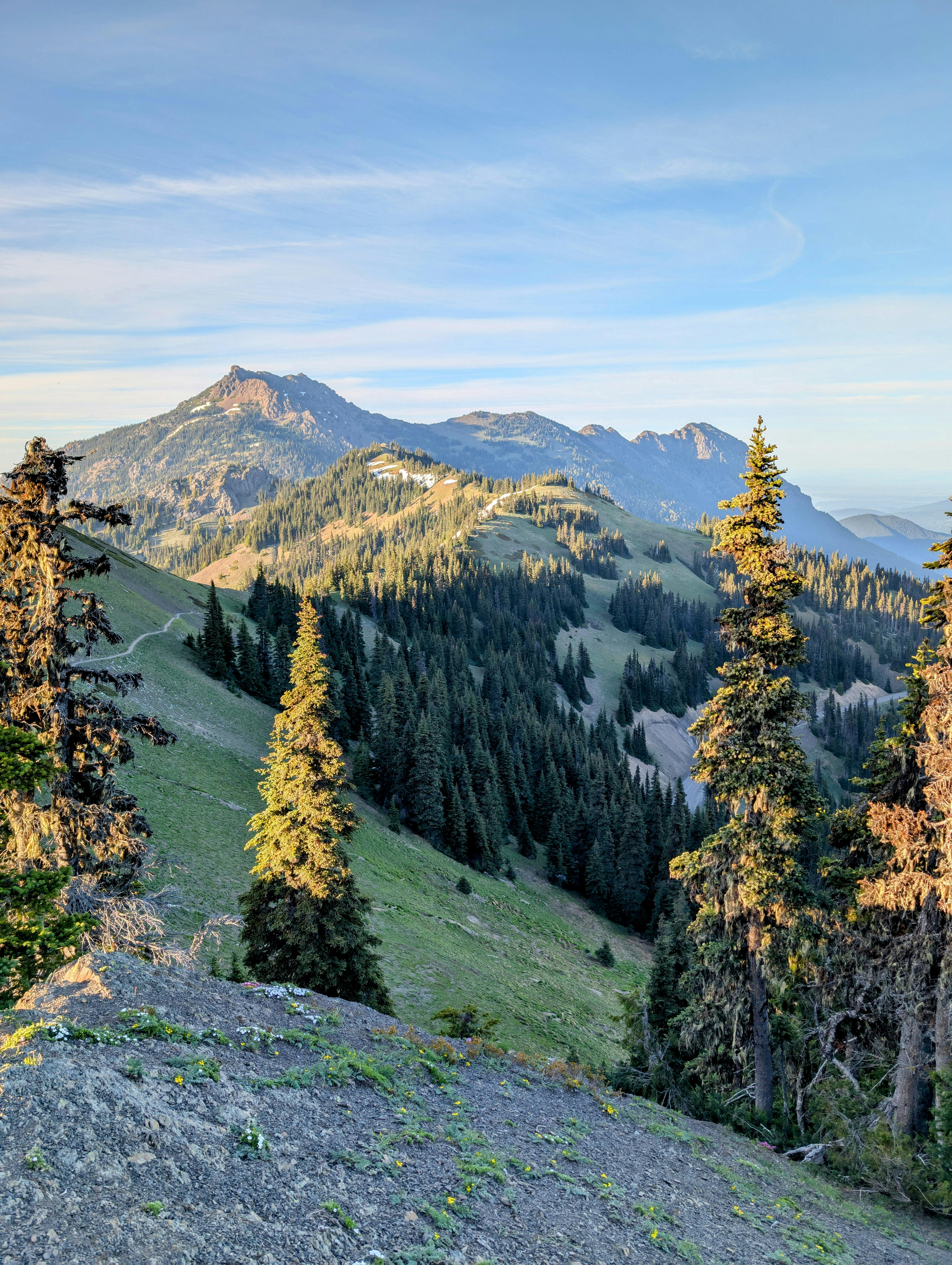 Snow-dusted mountain ridge and meadow viewpoint at Hurricane Ridge in Olympic National Park