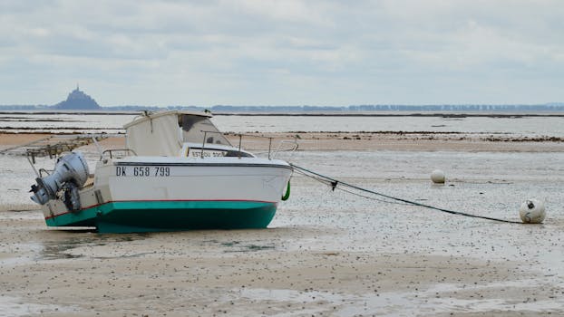 Saint-Thomas-de-Conac