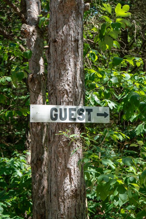 Free A rustic guest sign on a tree in a serene forest signaling direction. Stock Photo