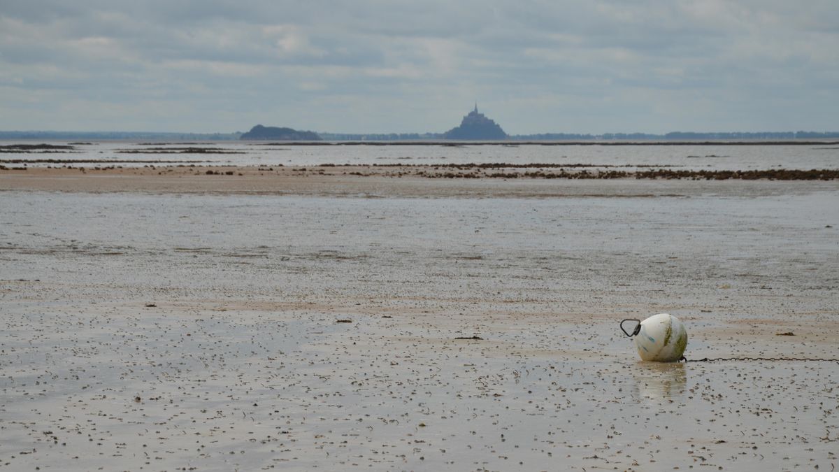Mont Saint-Michel vazut de departe peste nisipul de la reflux