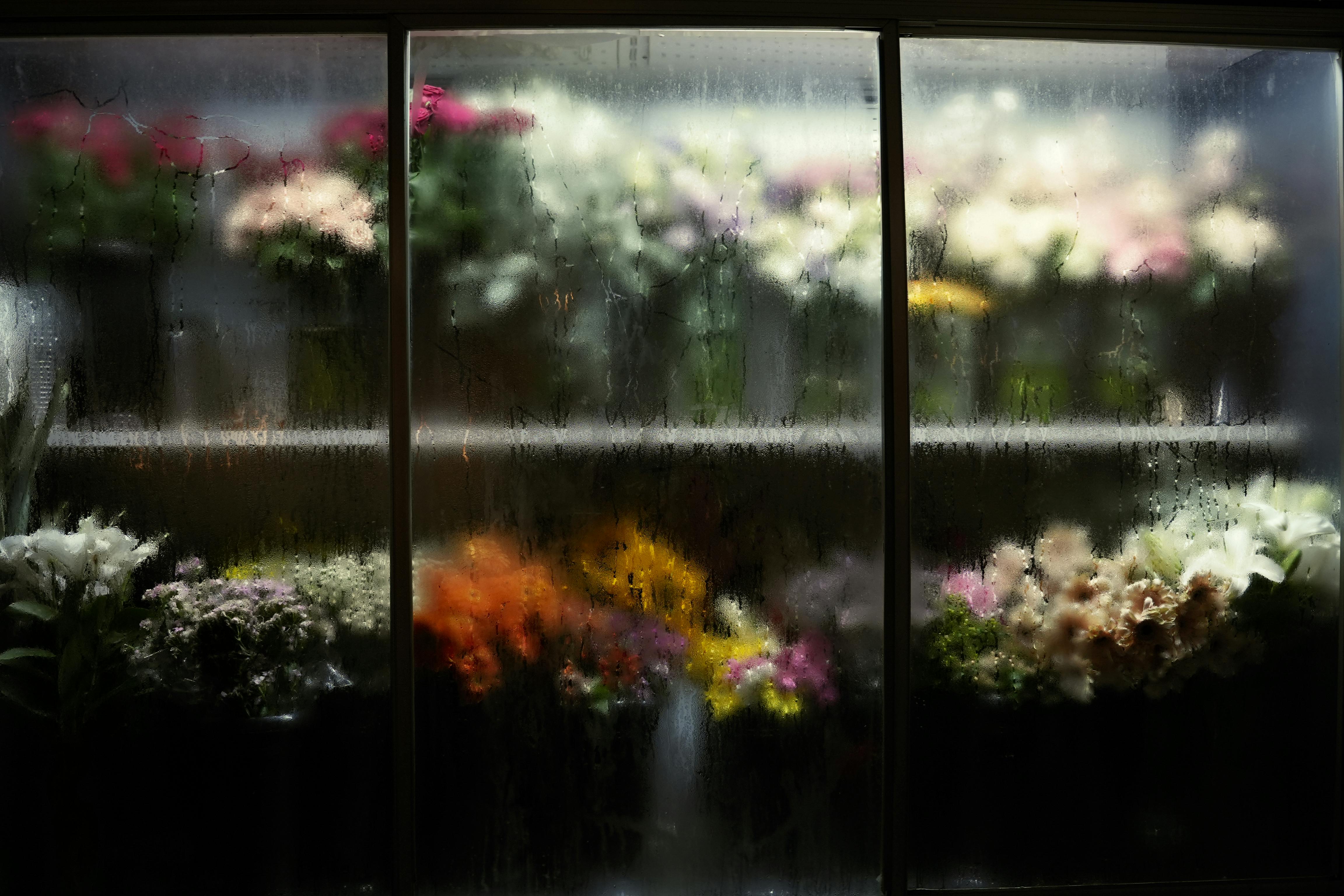 Vibrant flowers viewed through a frosted glass window, showcasing a colorful and mysterious ambiance.