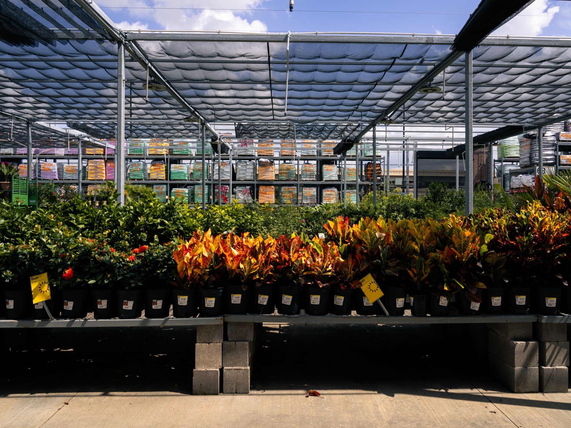 Garden Beds