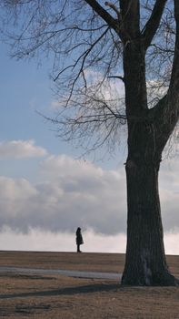 A lone figure stands next to a bare tree under a cloudy winter sky.