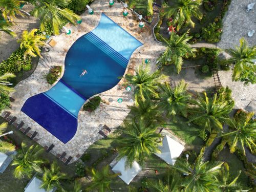 Free Aerial shot of a tropical pool surrounded by lush palm trees and lounge chairs. Stock Photo