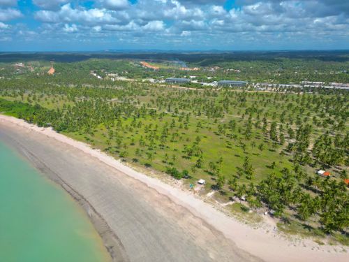 Free Stunning aerial view of a tropical beach with lush palm trees and vibrant coastline. Stock Photo