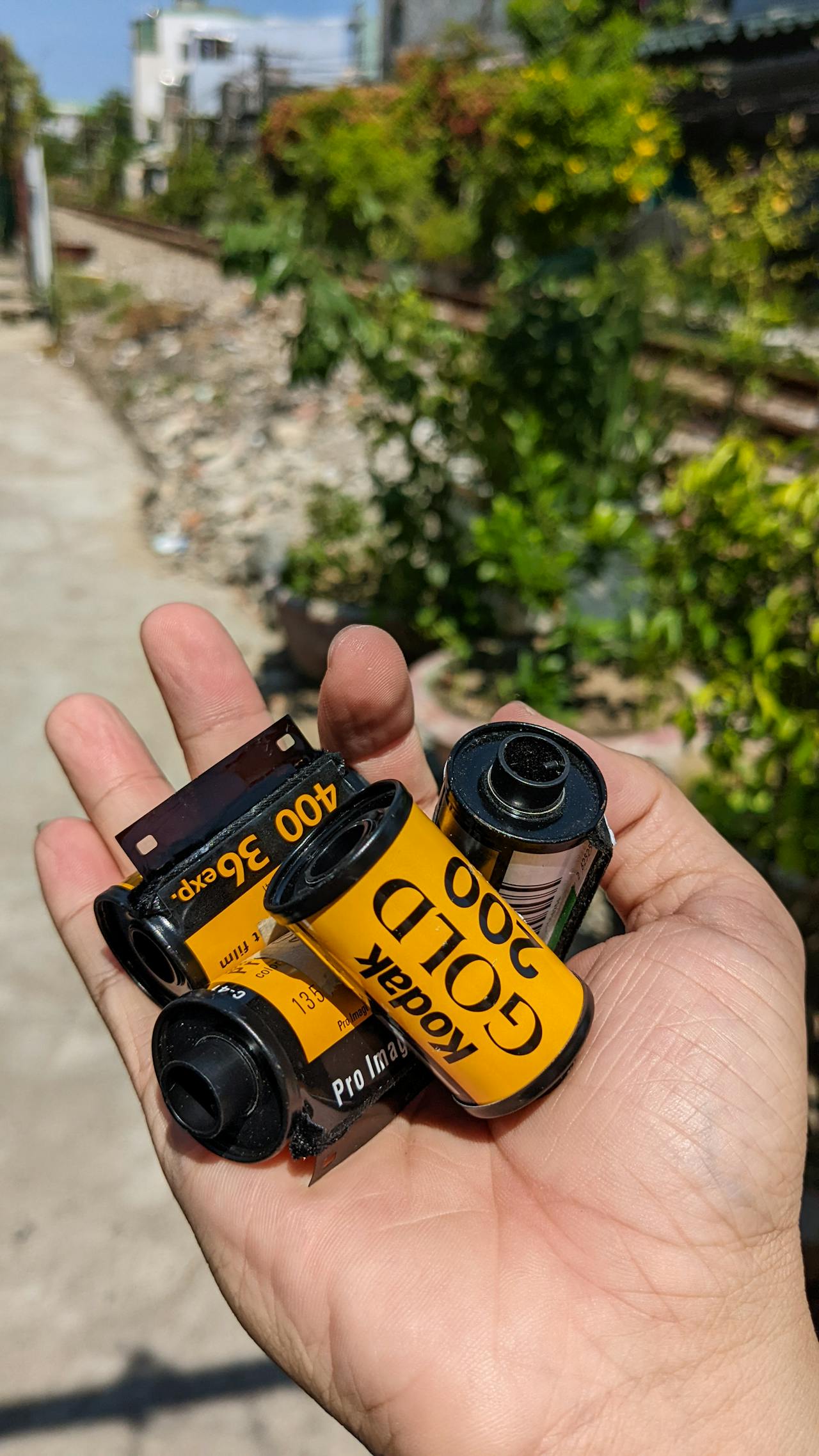 Edgar Thùng rượu Amontillado