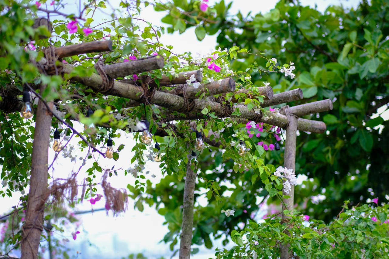 Sự đồng cảm là tất cả