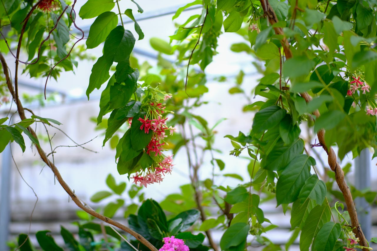 Giận | Chương 02