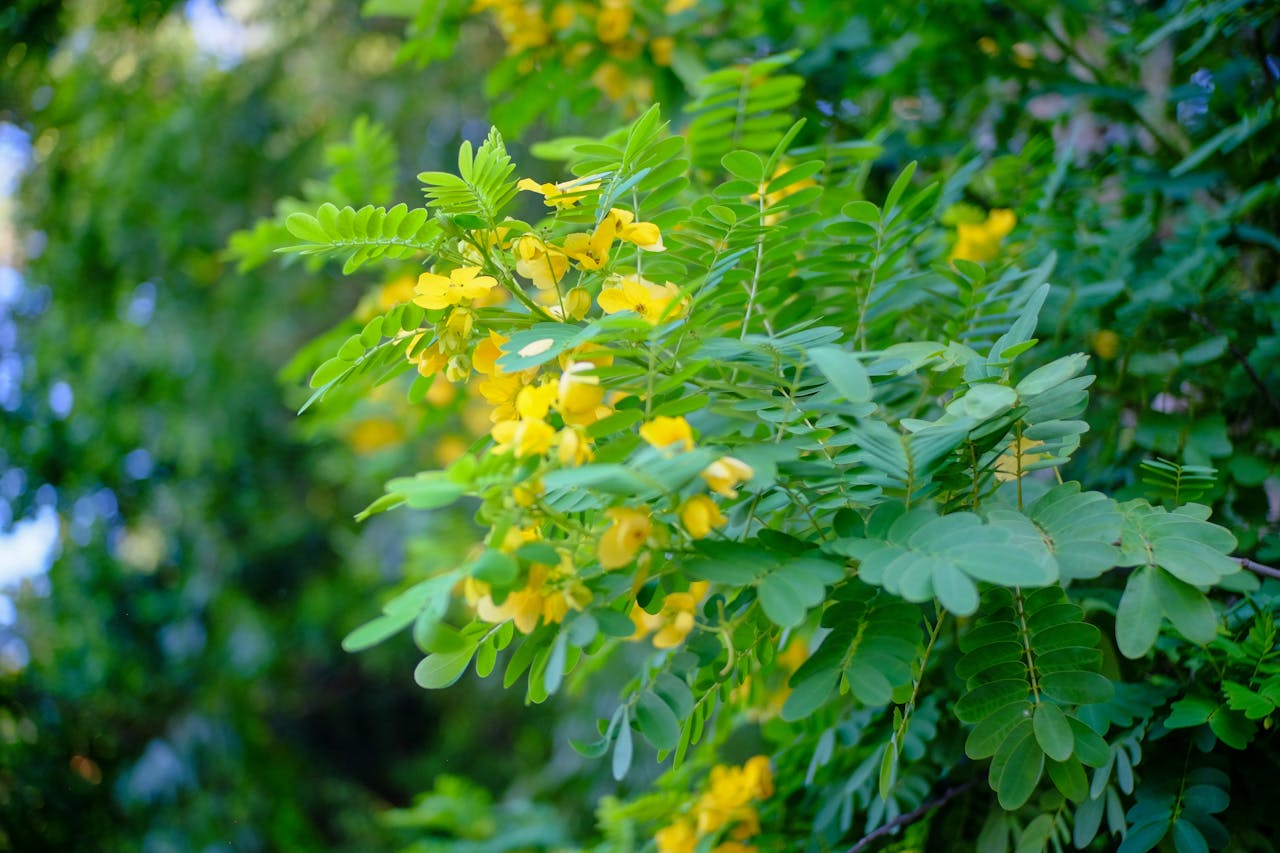 Thám tử lừng danh Conan | Chương 0261