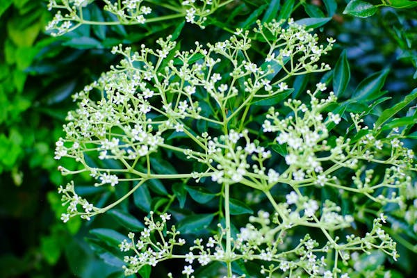 Danh sách bài viết, trang 354