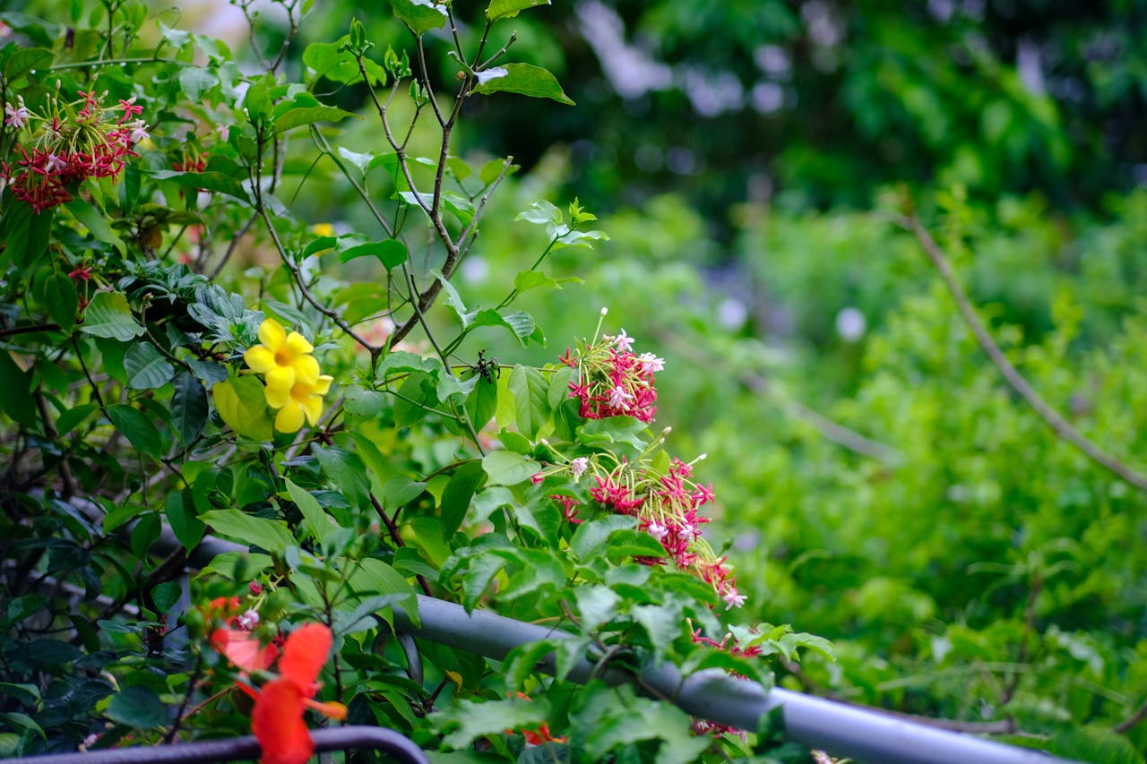 Tĩnh lặng | Chương 01