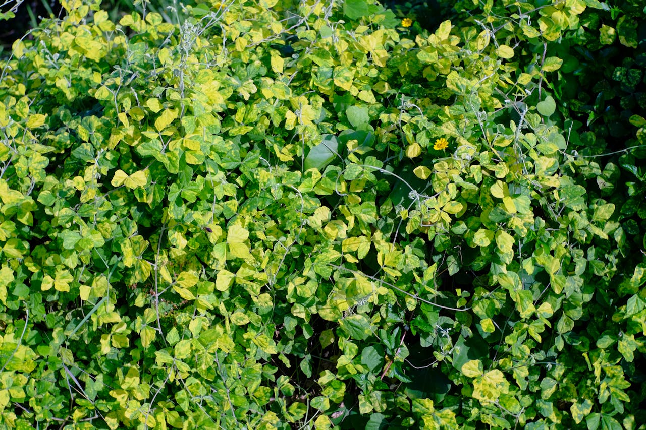 10 sách triết học phát triển góc nhìn siêu hình