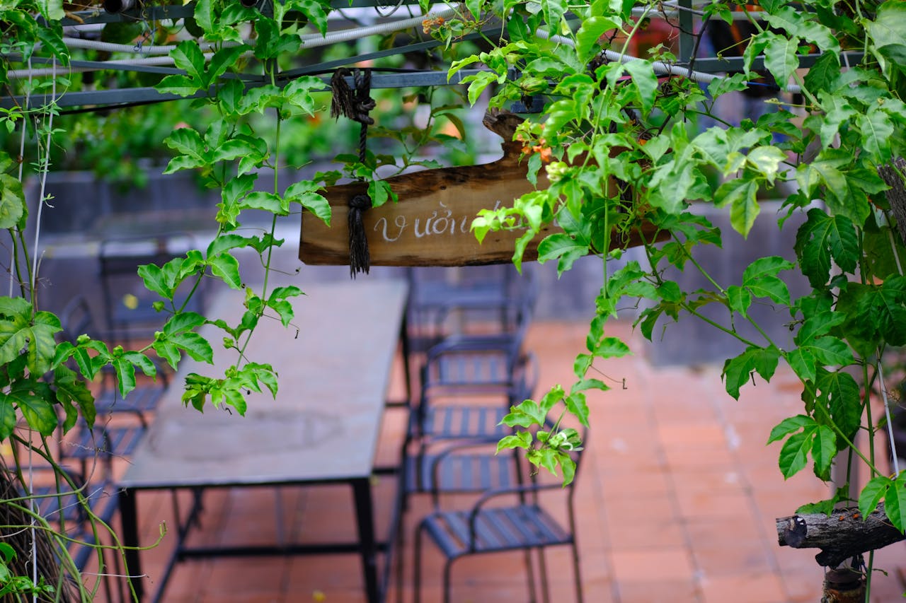 Vàng và nhũ hương từ sao neutron