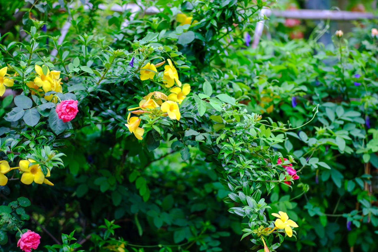 Tầm quan trọng của độc giả trong viết lách là gì?