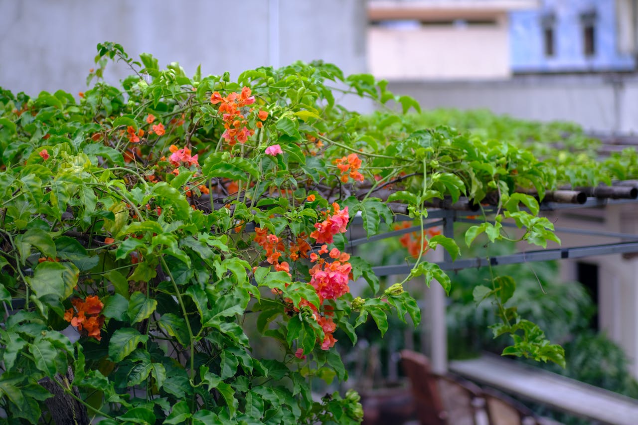 Free Booking Links trong Google Hotel Ads