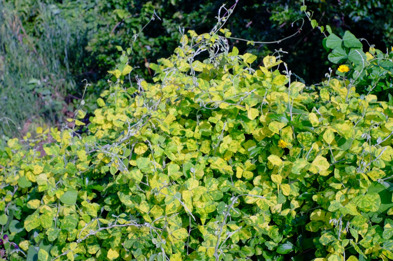 Lựa chọn đạo đức dựa trên logic hay cảm xúc