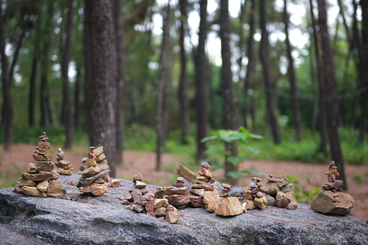 Thám tử lừng danh Conan | Chương 0834