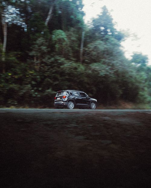 Free A black SUV driving along a forest road, surrounded by lush green trees. Stock Photo