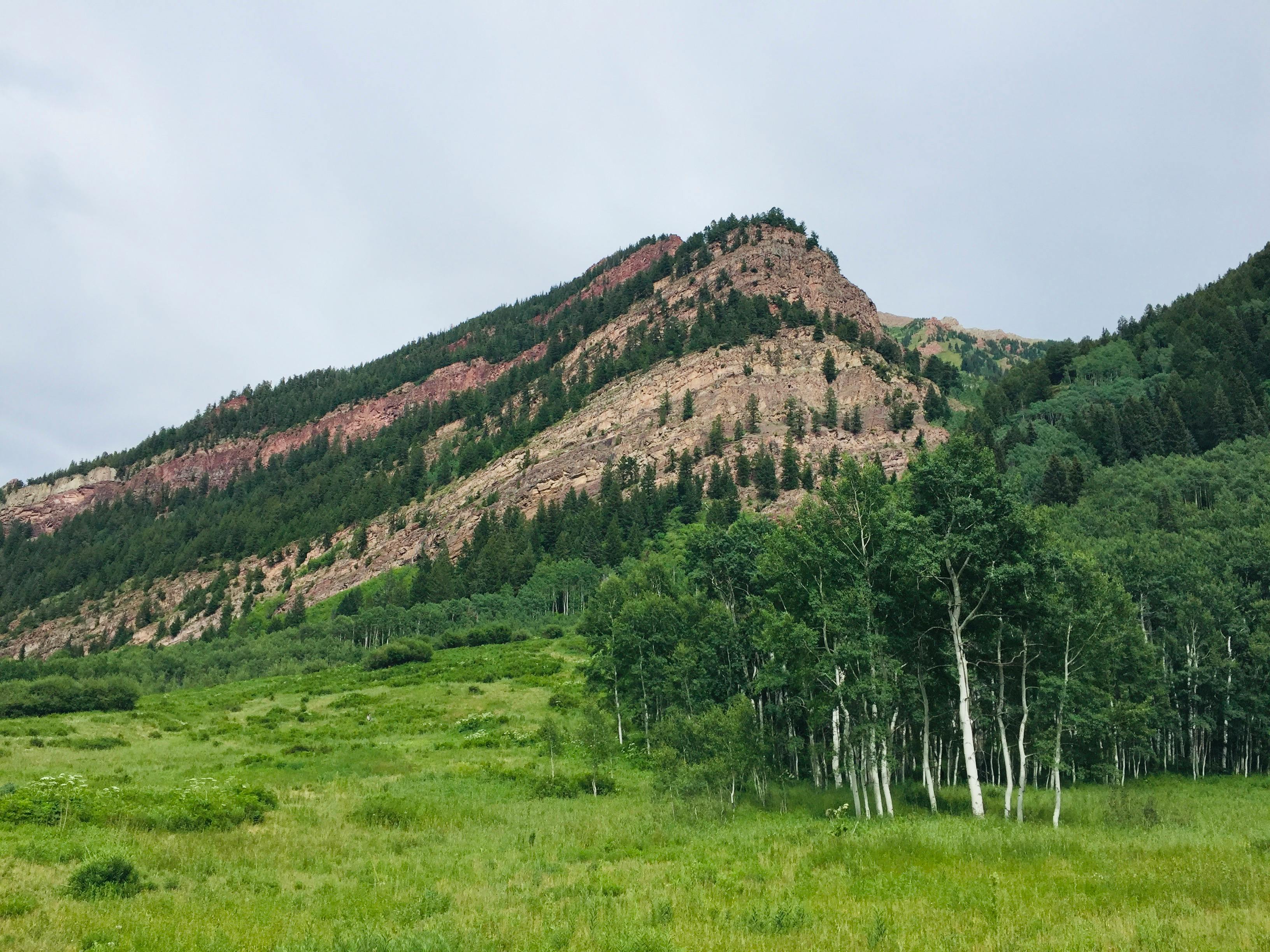 Colorado Democrats scramble to fund health care subsidies after loss of federal benefits — Photo by EnsearchofYou * on Pexels