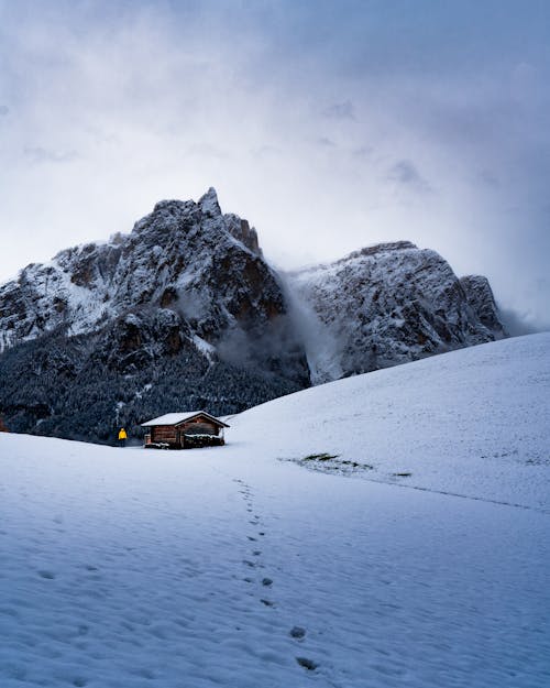 Безкоштовне стокове фото на тему «Альпи, Альпійський, безтурботний»