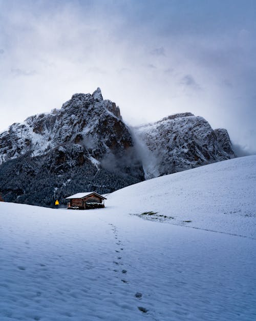 白天雪山的照片