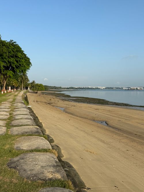 Free Peaceful beach scene with a tree-lined path, sandy shore, and calm water under a clear blue sky. Stock Photo