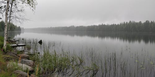 Free stock photo of early morning, fog, lake Stock Photo
